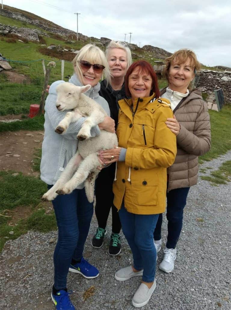 Hold a Baby Lamb on the Dingle Peninsula