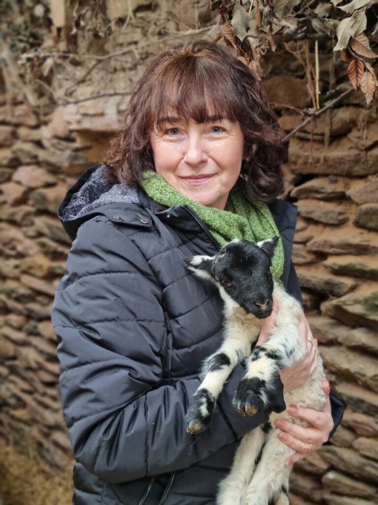 Your Dingle Guide: Gillian Sheehy